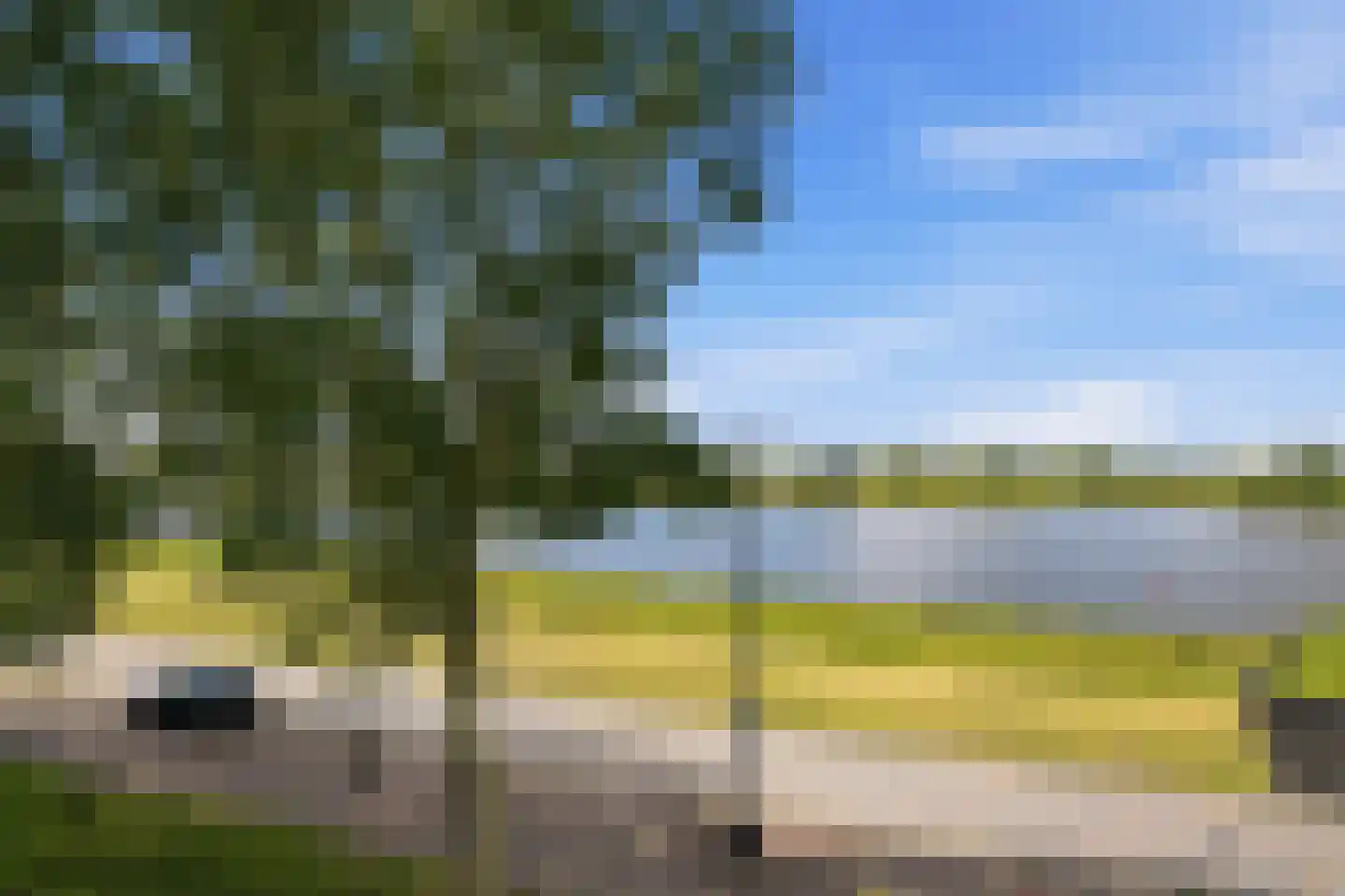 Maurits Bingerplantsoen 17 Amsterdam thumbnail 11