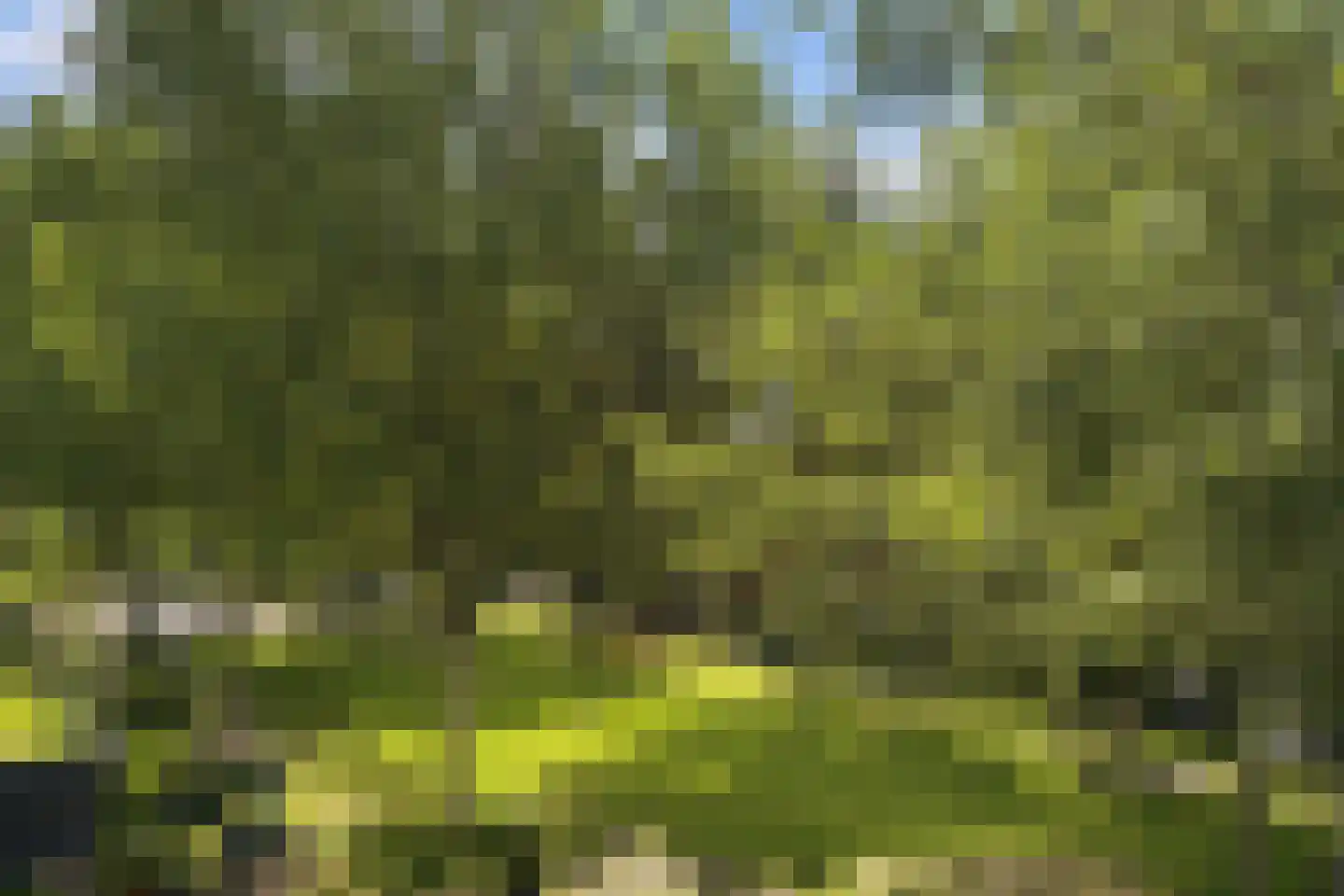 Maurits Bingerplantsoen 17 Amsterdam thumbnail 12