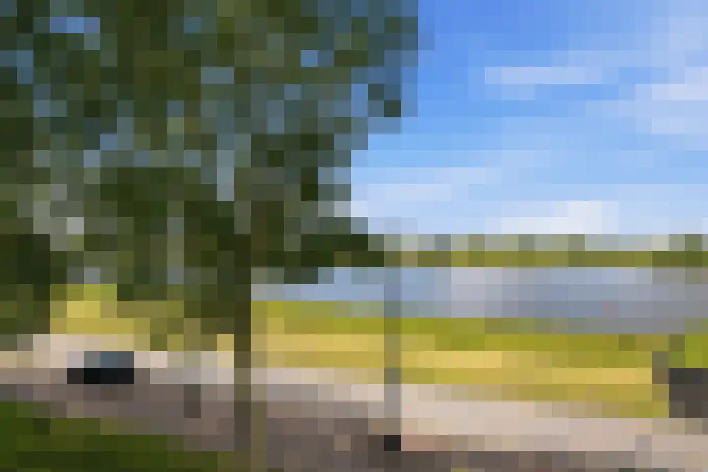 Maurits Bingerplantsoen 17 Amsterdam thumbnail 12