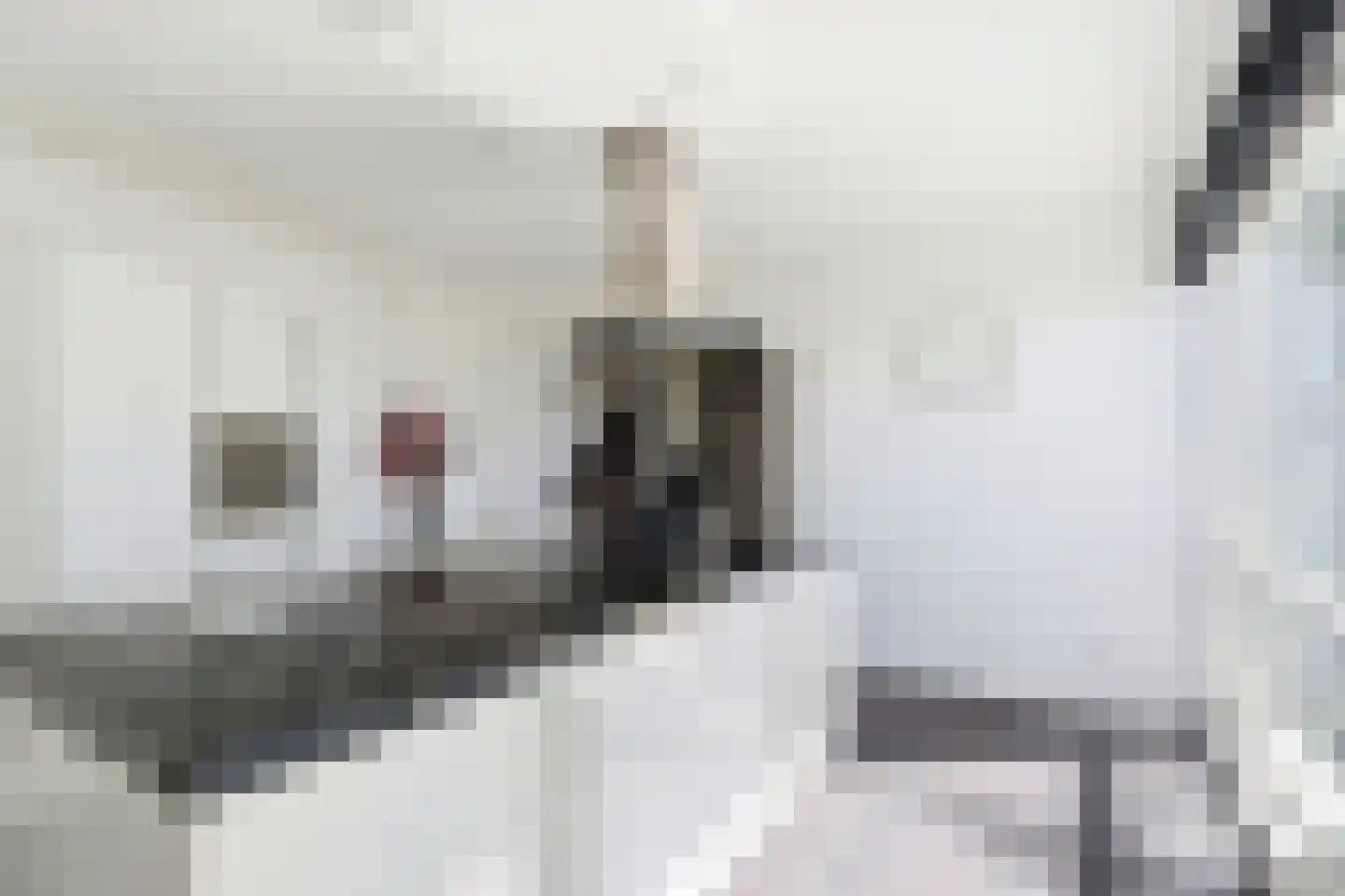 Maurits Bingerplantsoen 17 Amsterdam thumbnail 13