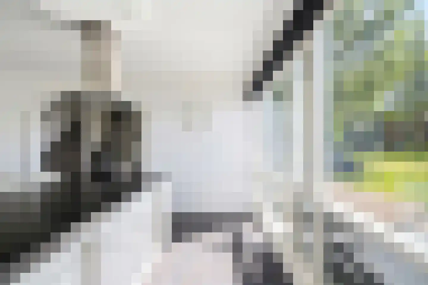 Maurits Bingerplantsoen 17 Amsterdam thumbnail 14