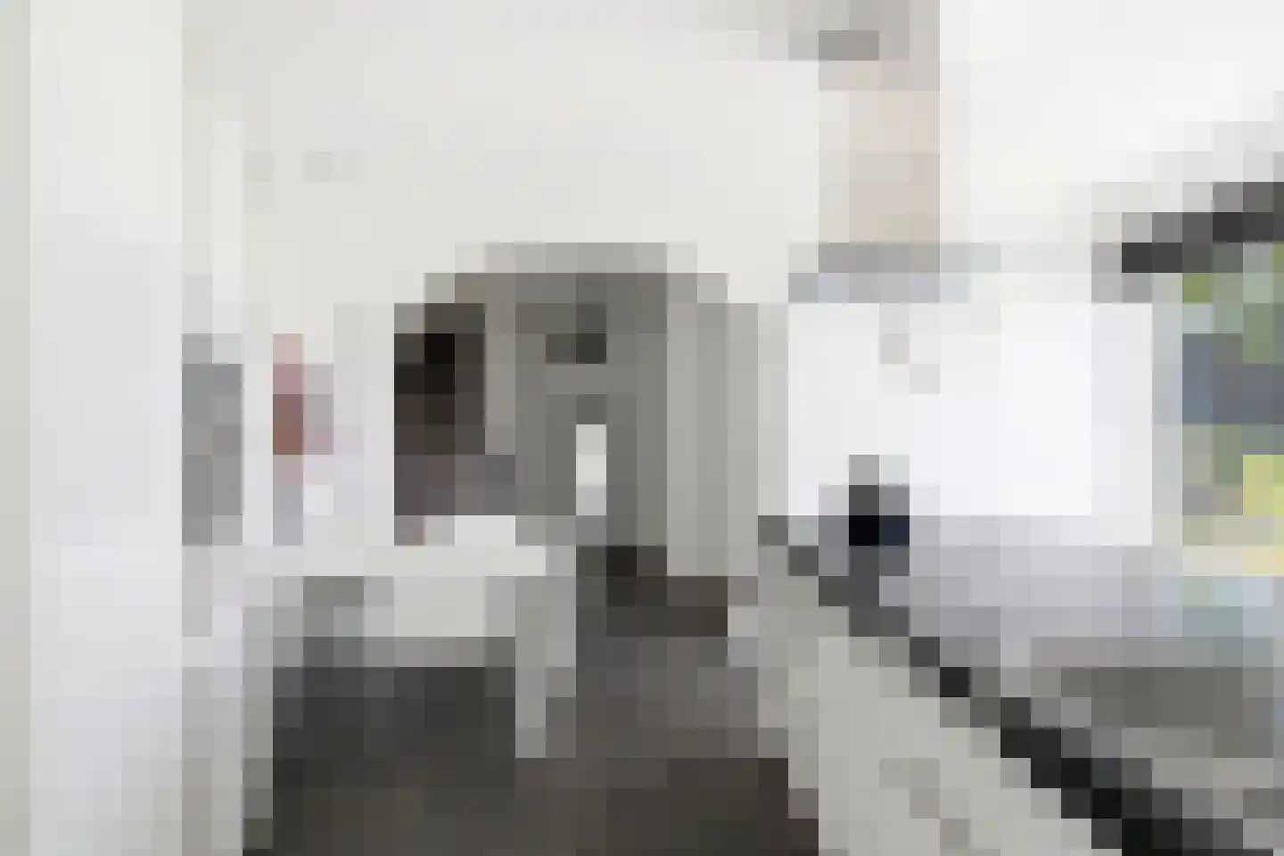 Maurits Bingerplantsoen 17 Amsterdam thumbnail 15