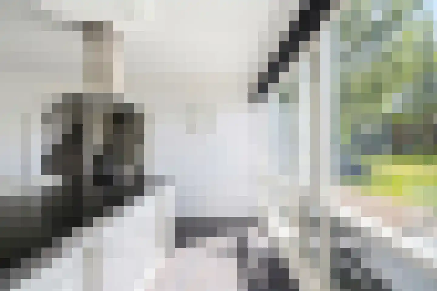 Maurits Bingerplantsoen 17 Amsterdam thumbnail 15
