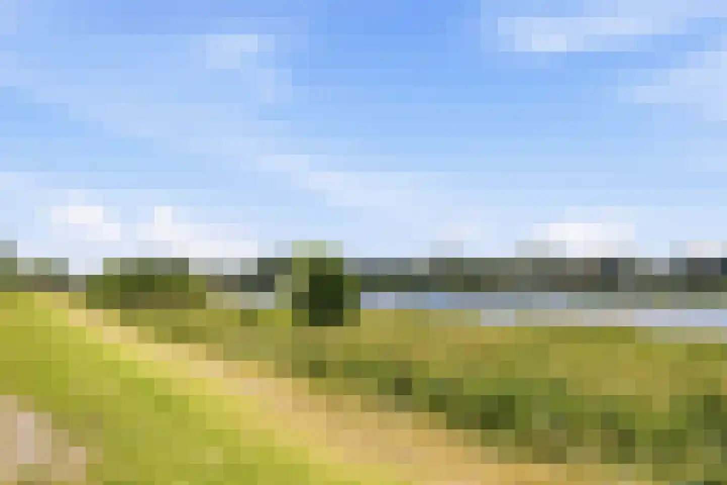 Maurits Bingerplantsoen 17 Amsterdam thumbnail 29