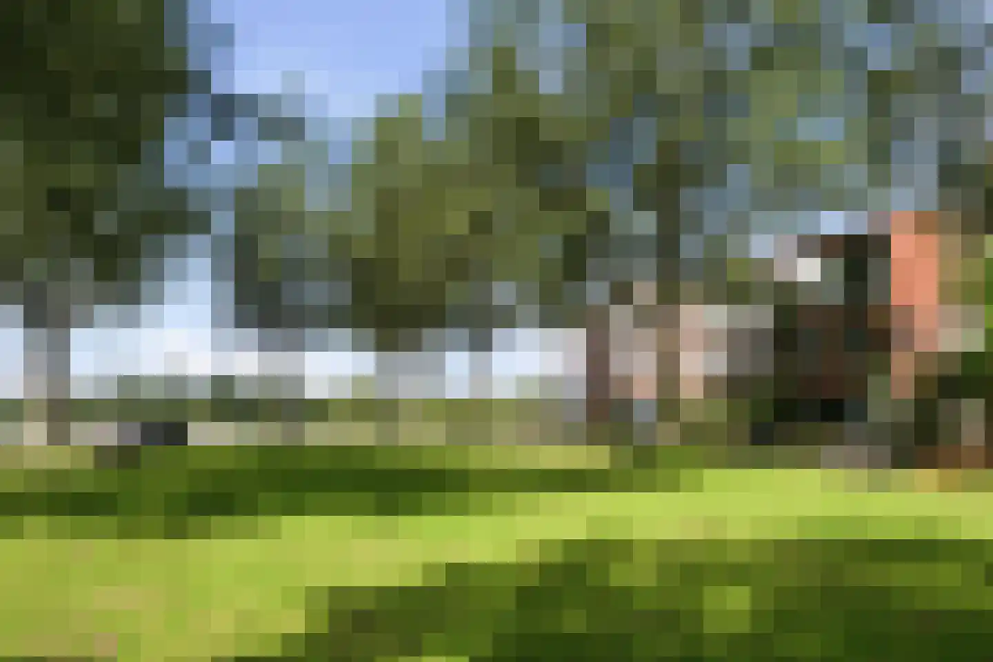 Maurits Bingerplantsoen 17 Amsterdam thumbnail 32