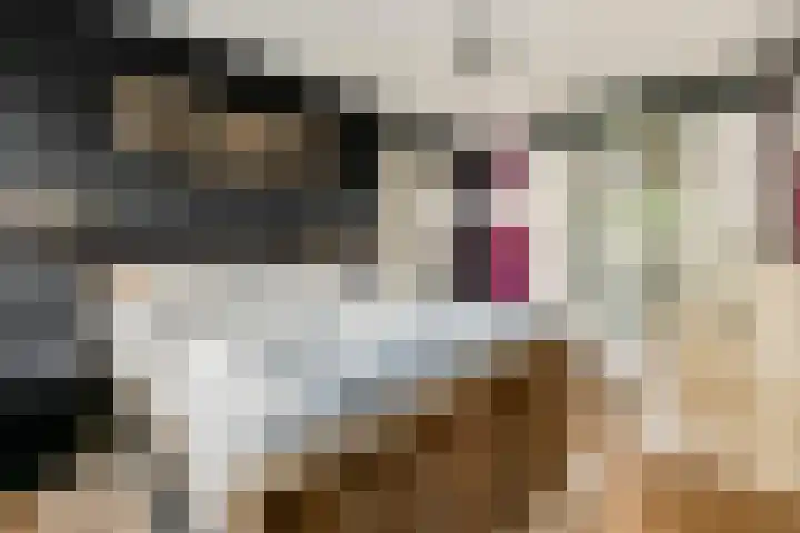 Maurits Bingerplantsoen 4 Amsterdam thumbnail 12