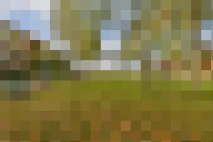 Maurits Bingerplantsoen 4 Amsterdam thumbnail 23