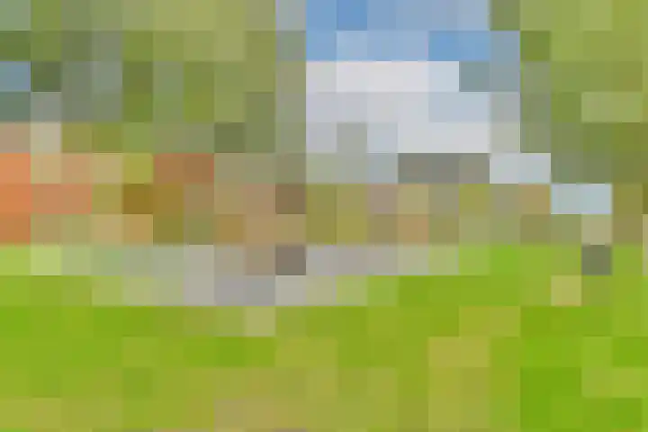 Maurits Bingerplantsoen 4 Amsterdam thumbnail 24