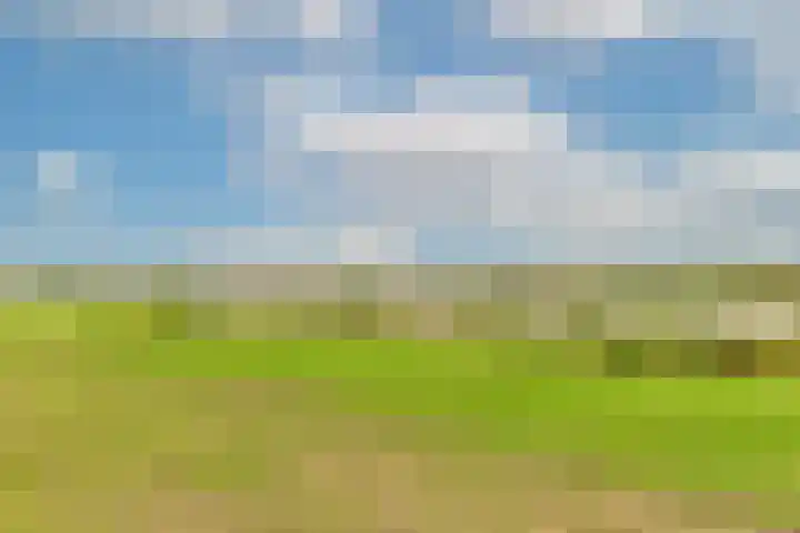 Maurits Bingerplantsoen 4 Amsterdam thumbnail 25