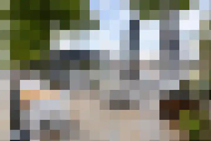 Maurits Bingerplantsoen 4 Amsterdam thumbnail 31