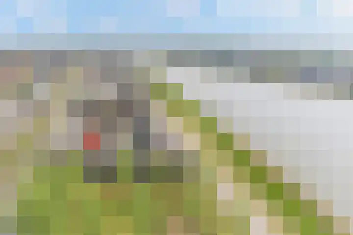 Maurits Bingerplantsoen 4 Amsterdam thumbnail 4
