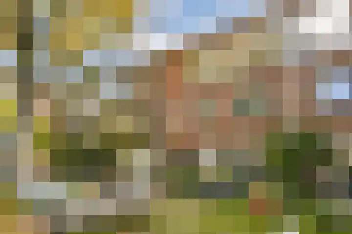 Maurits Bingerplantsoen 4 Amsterdam thumbnail 5