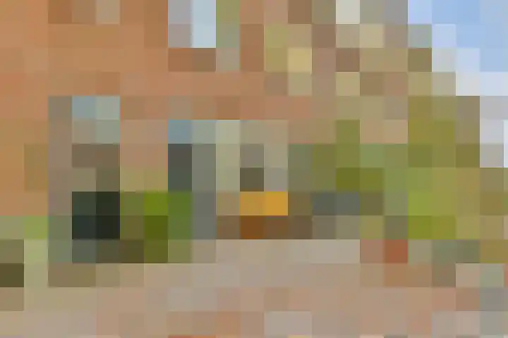 Maurits Bingerplantsoen 4 Amsterdam thumbnail 6