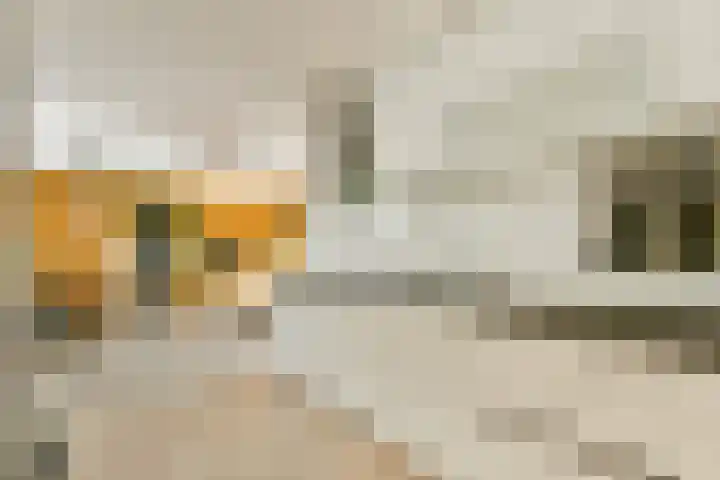 Maurits Bingerplantsoen 4 Amsterdam thumbnail 8