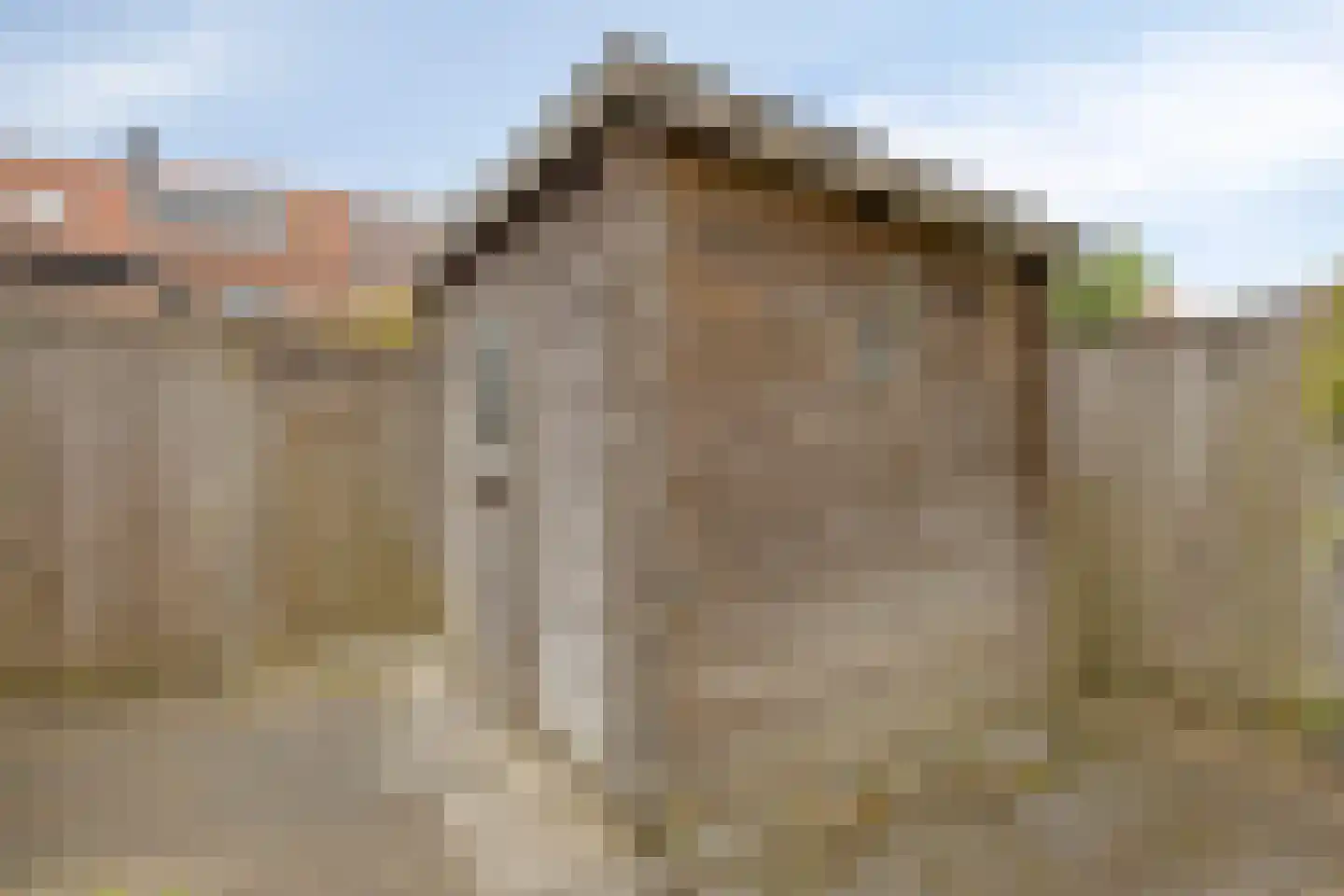 Maurits Escherlaan 36 Rhoon thumbnail 40