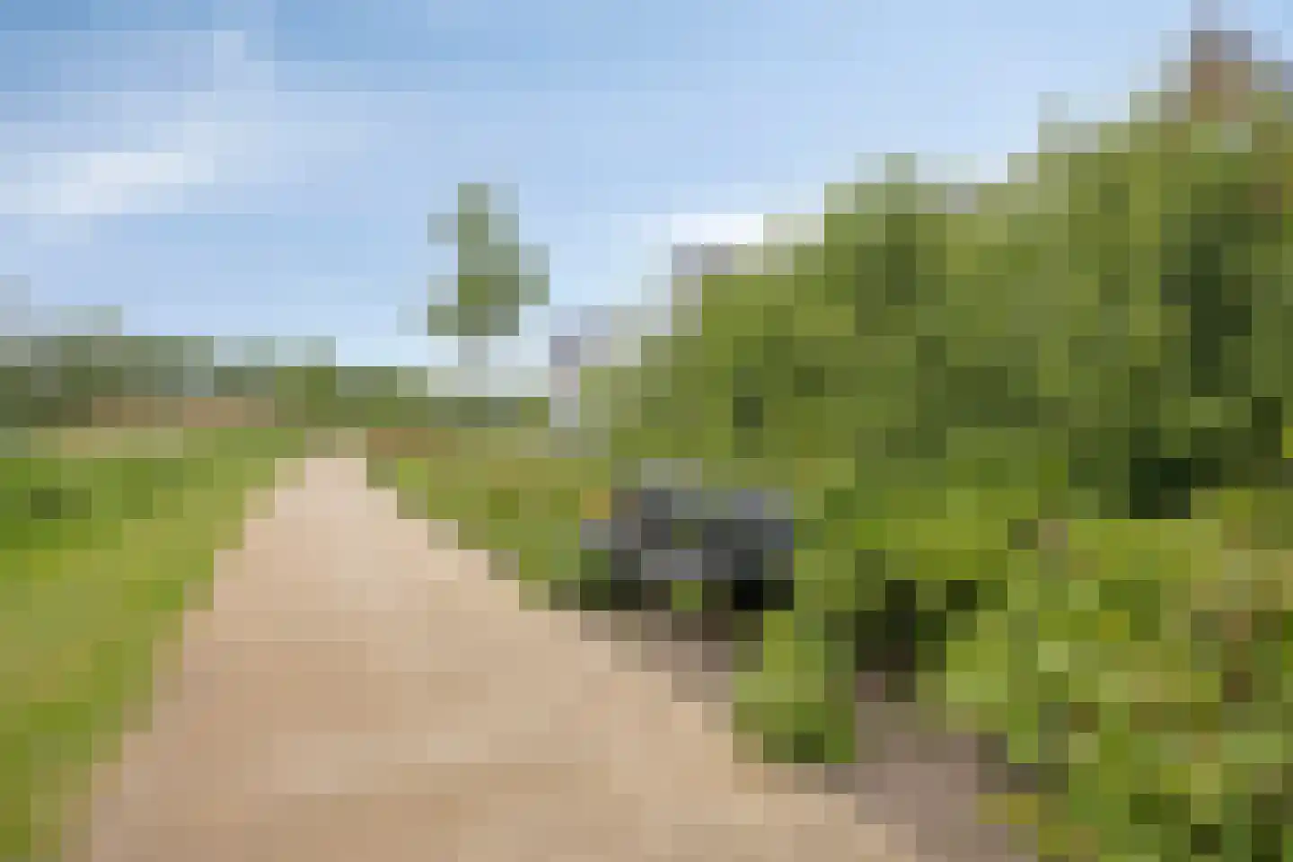 Maurits Escherlaan 36 Rhoon thumbnail 44
