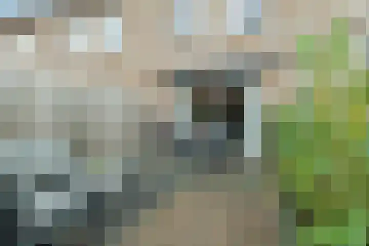 Maurits Escherlaan 42 Rhoon thumbnail 32