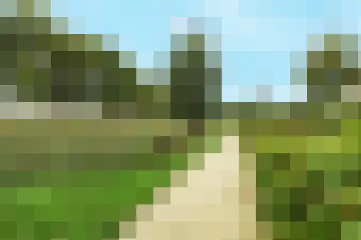 Maurits Escherlaan 42 Rhoon thumbnail 37