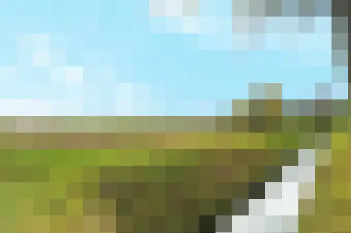 Maurits Escherlaan 42 Rhoon thumbnail 39