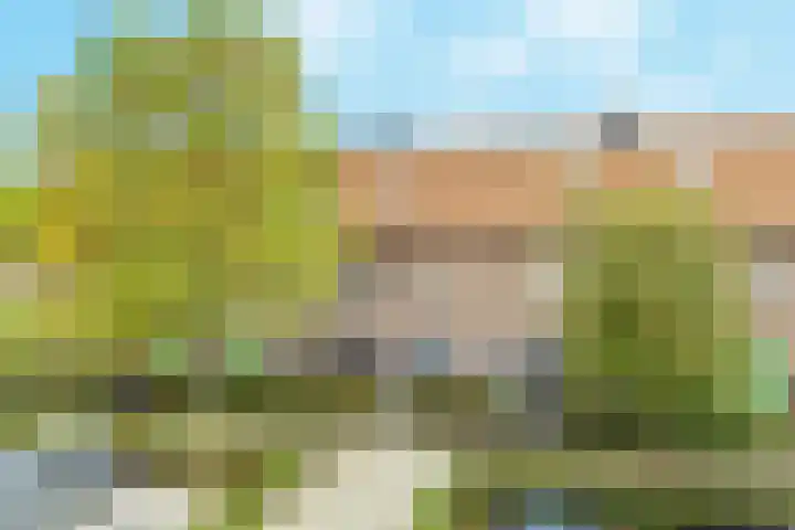 Maurits Escherlaan 42 Rhoon thumbnail 7