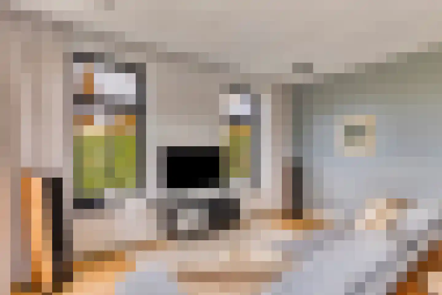 Mauritsdreef 11 Langbroek thumbnail 11