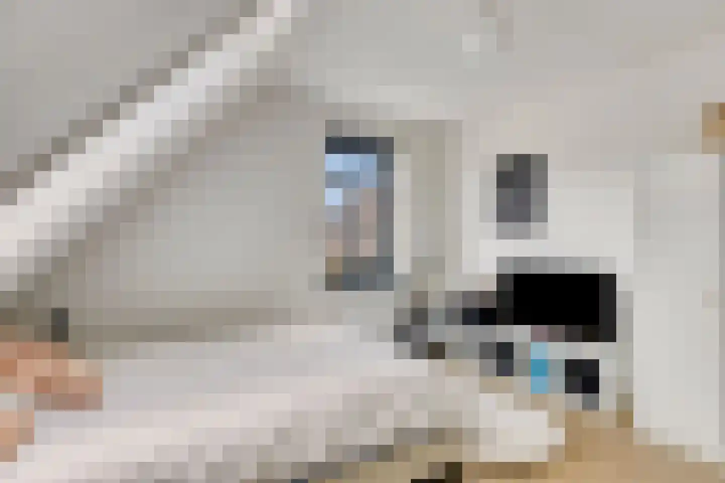Mauritsdreef 11 Langbroek thumbnail 34