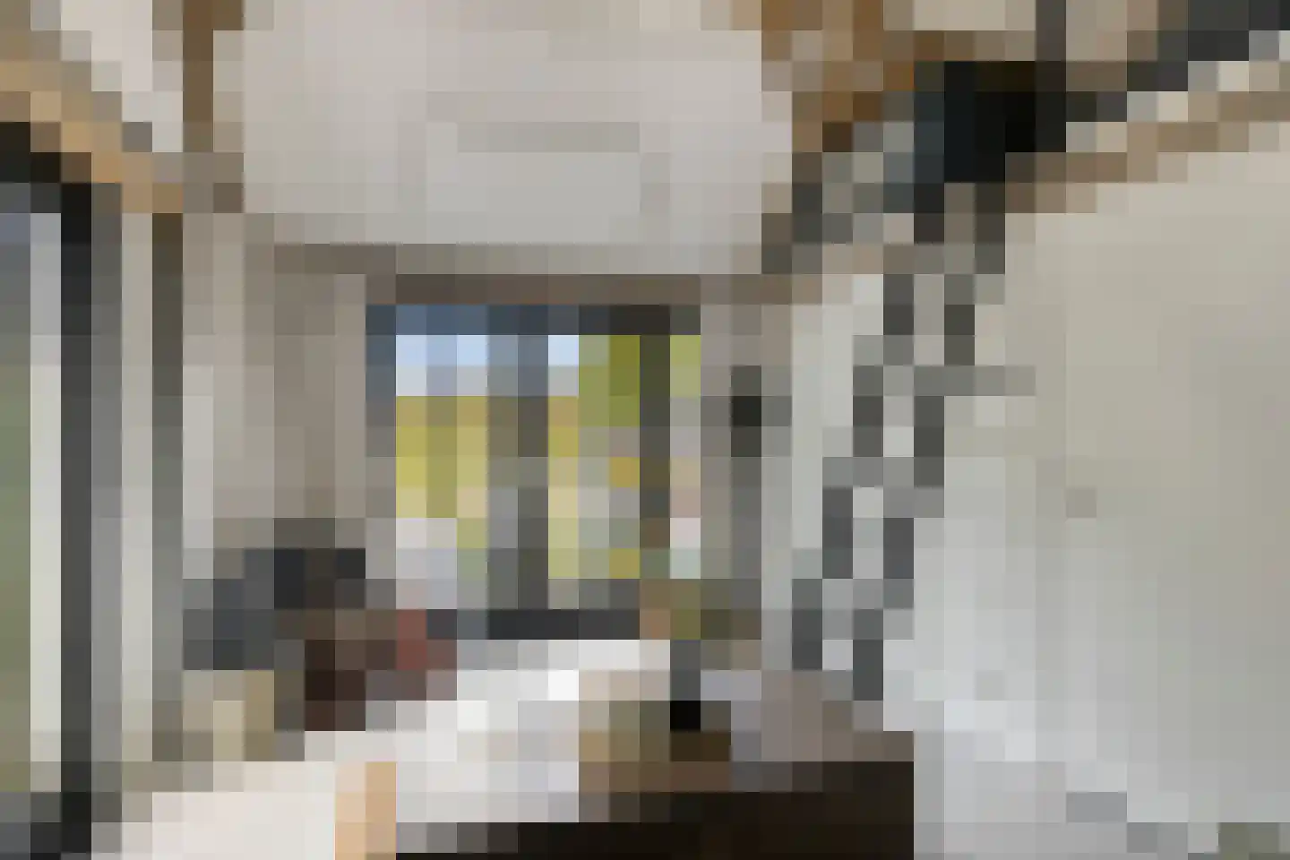 Mauritsdreef 11 Langbroek thumbnail 38