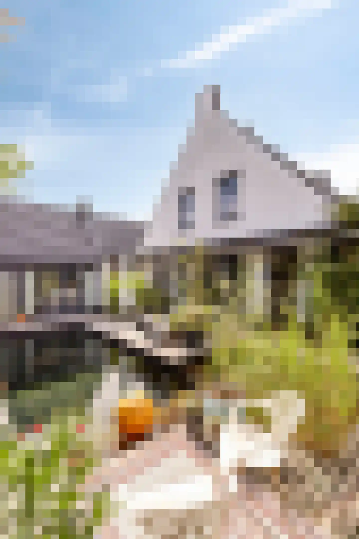 Mauritsdreef 11 Langbroek thumbnail 49