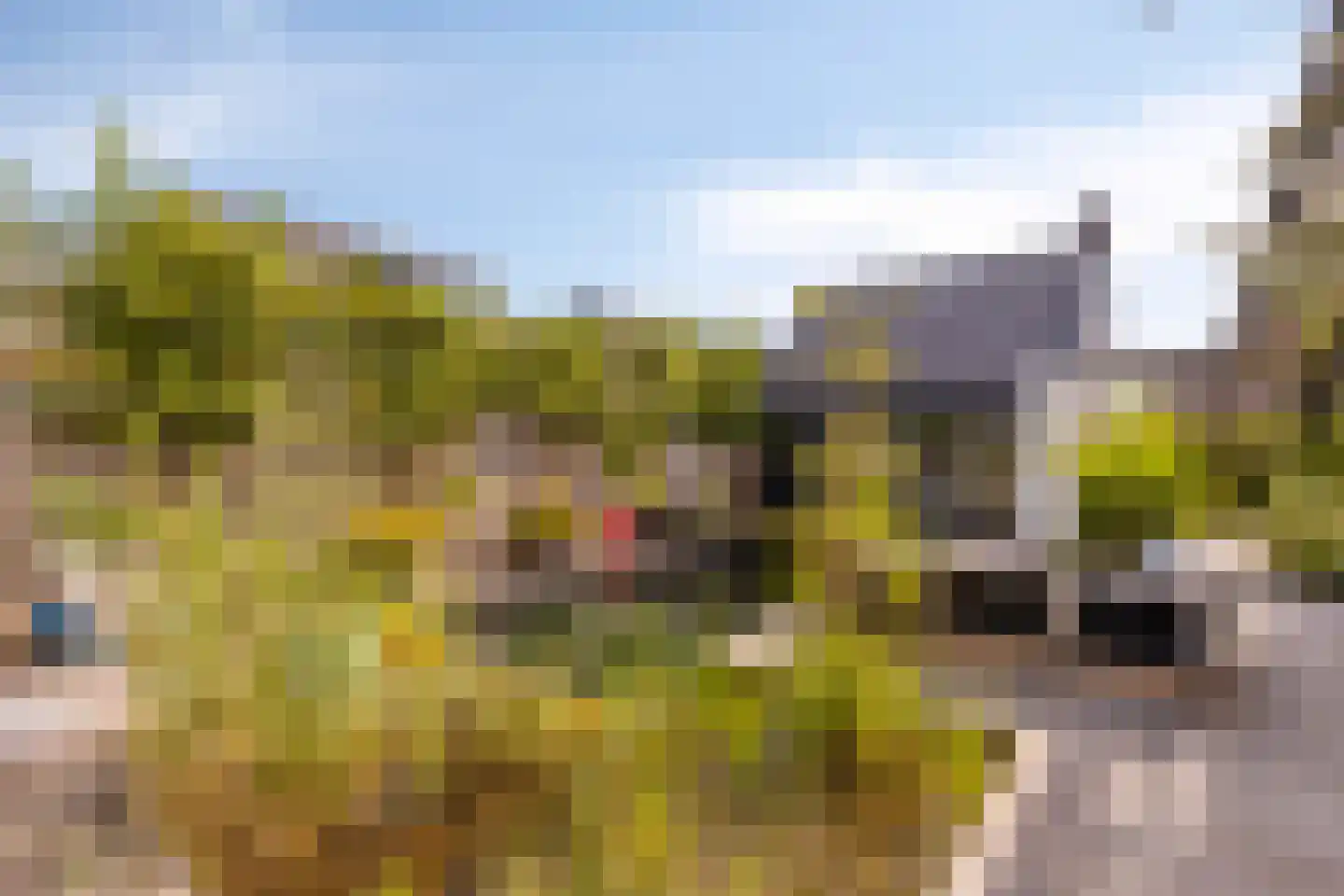 Mauritsdreef 11 Langbroek thumbnail 50