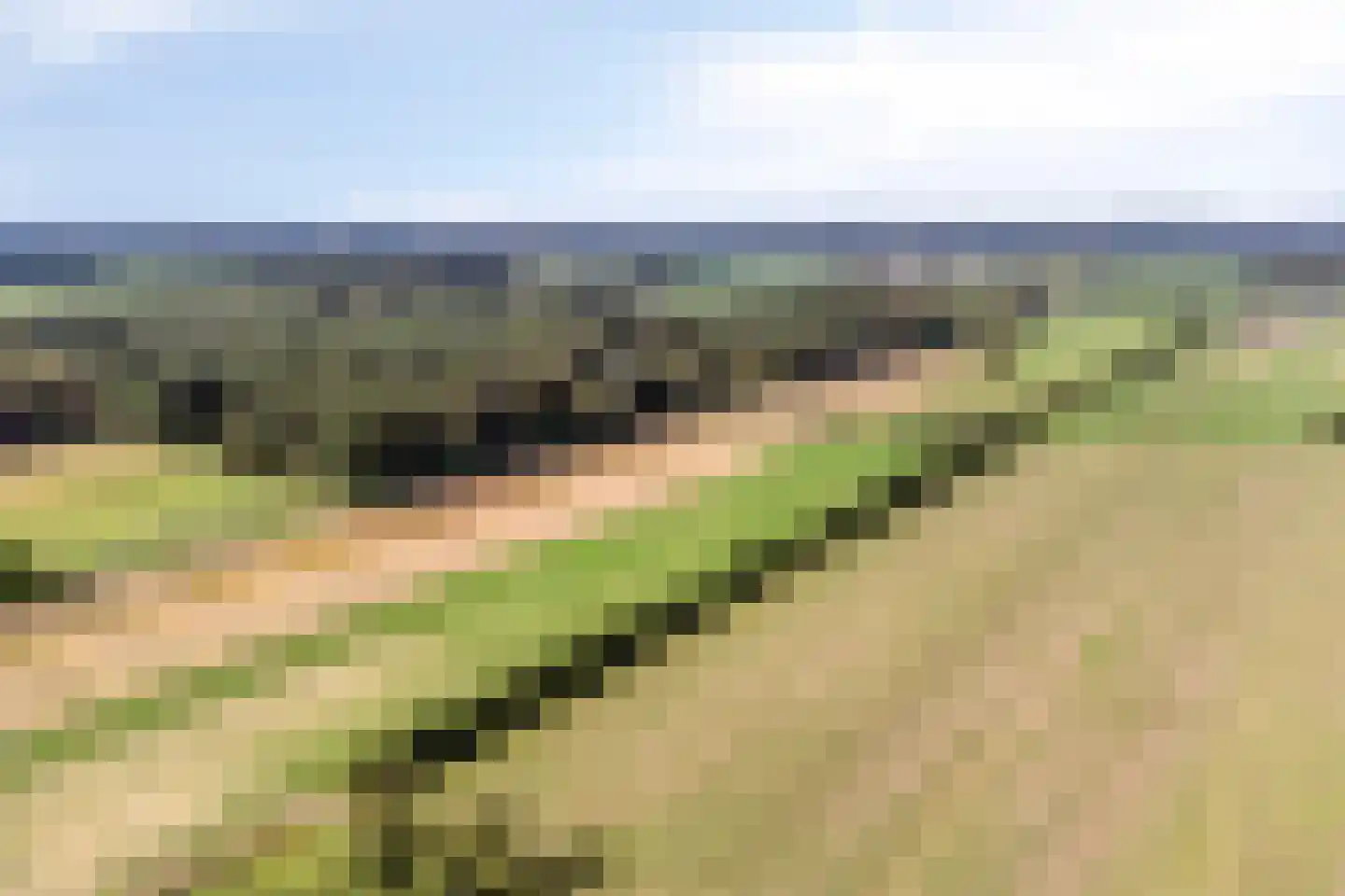 Mauritsdreef 11 Langbroek thumbnail 57