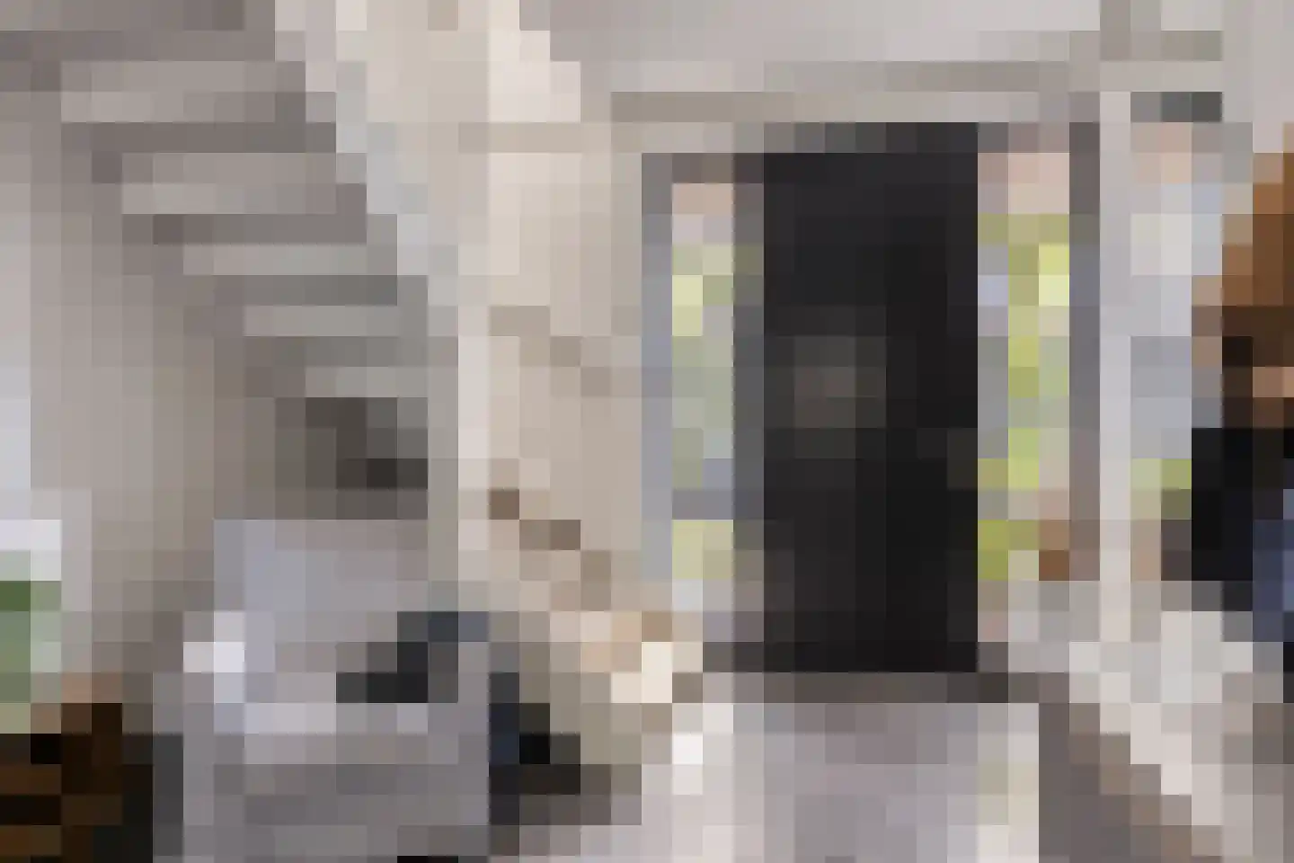 Mauritsdreef 11 Langbroek thumbnail 7
