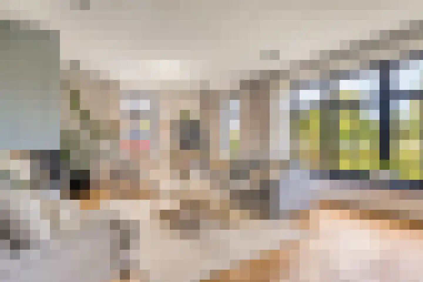 Mauritsdreef 11 Langbroek thumbnail 8