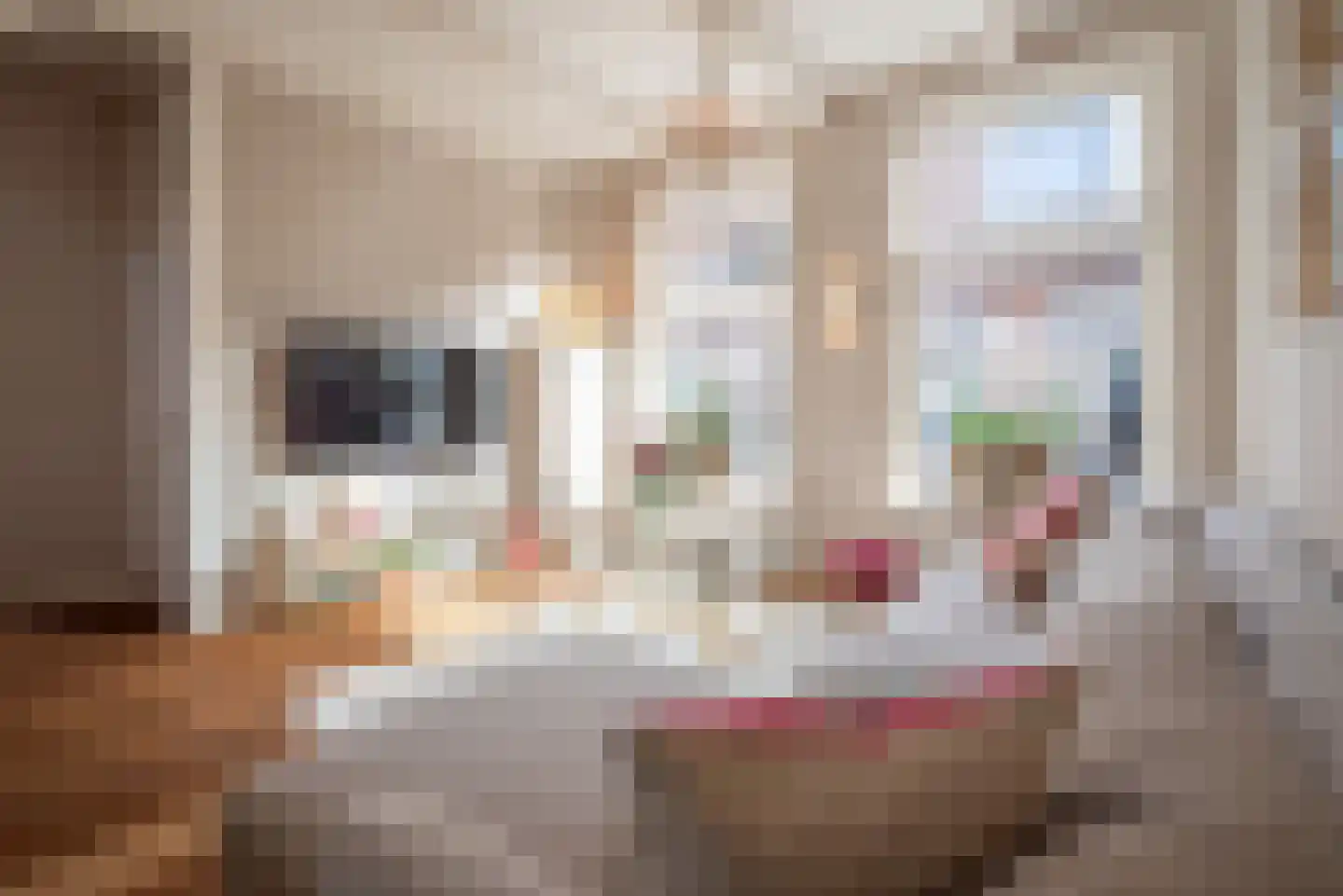 Mauritsdwarsstraat 12 Groningen thumbnail 15