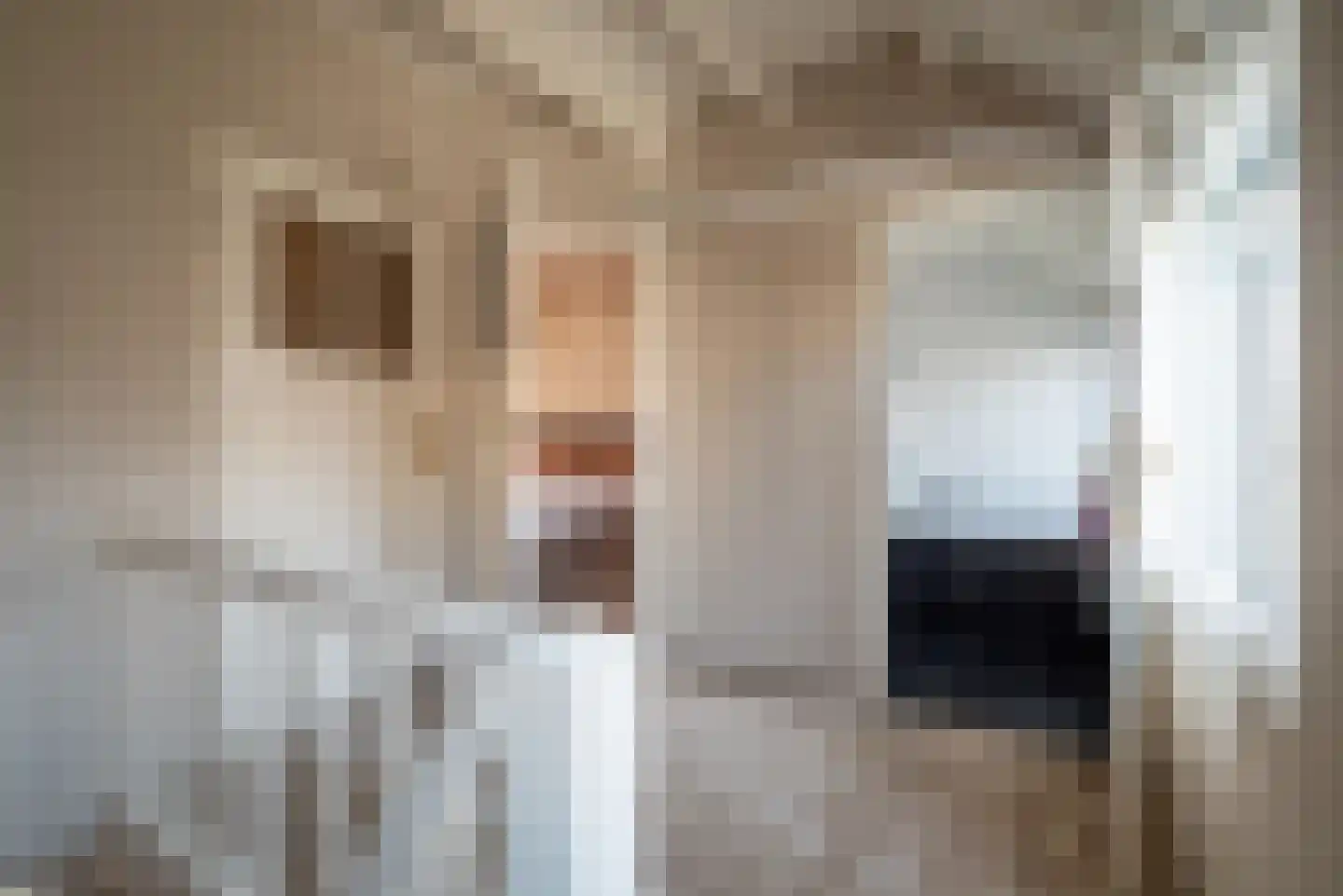 Mauritsdwarsstraat 12 Groningen thumbnail 27