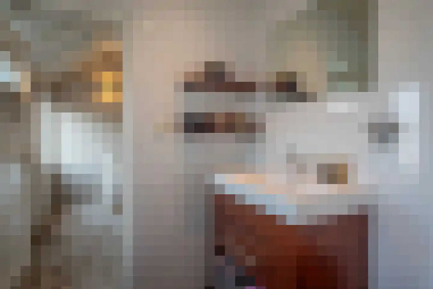 Mauritsdwarsstraat 12 Groningen thumbnail 31