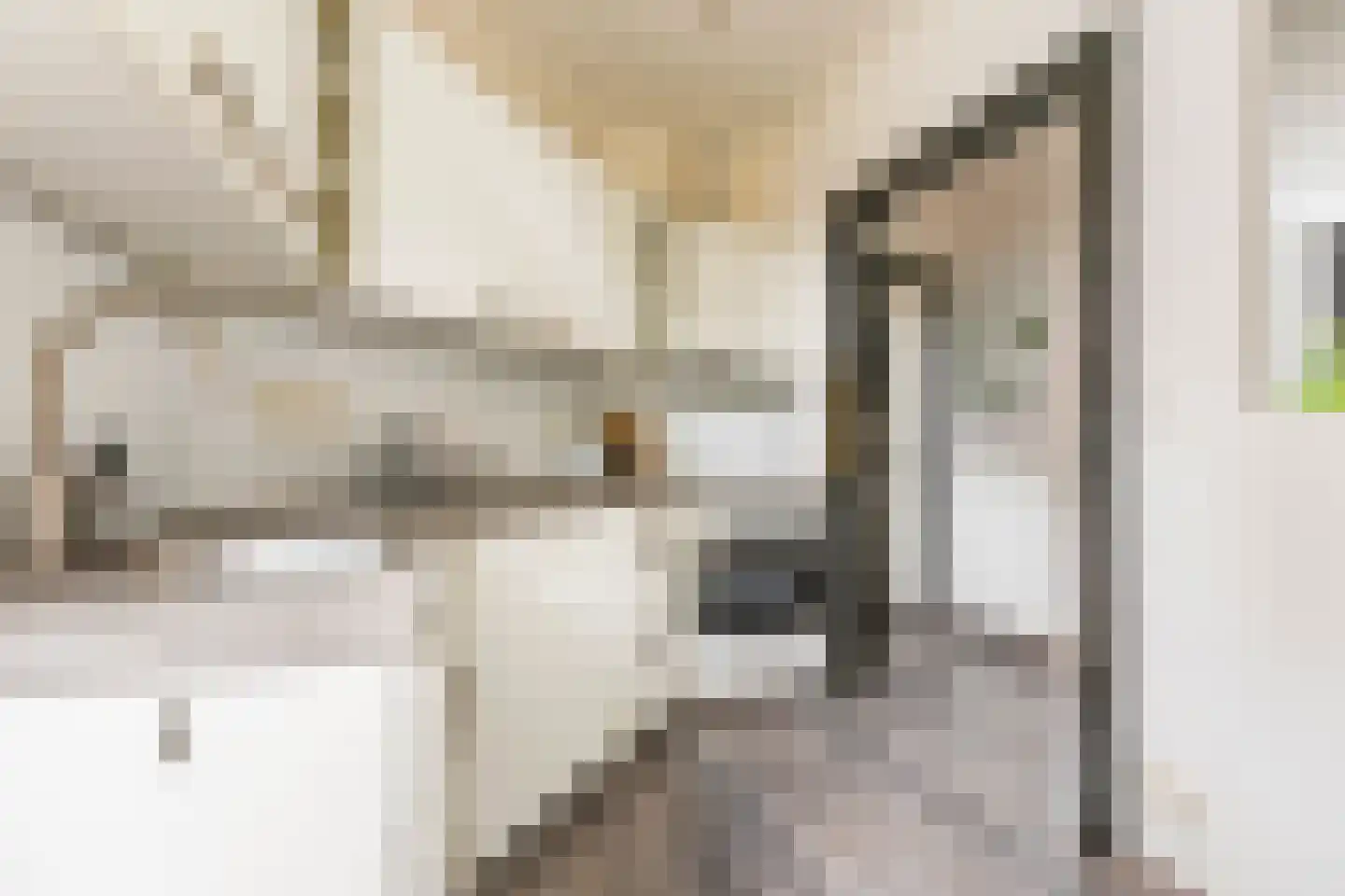 Mauritsdwarsstraat 3 Groningen thumbnail 14