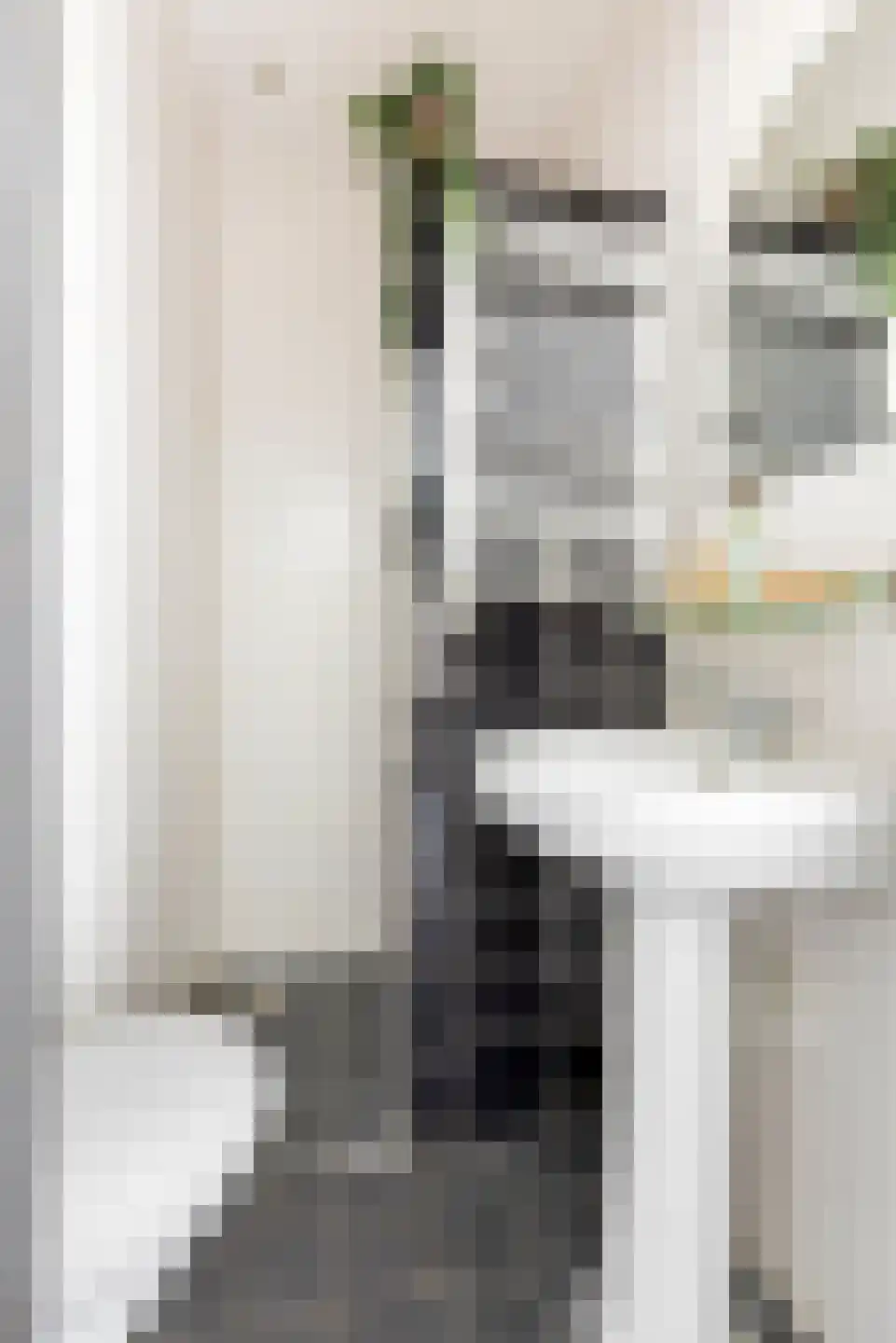 Mauritsdwarsstraat 3 Groningen thumbnail 17