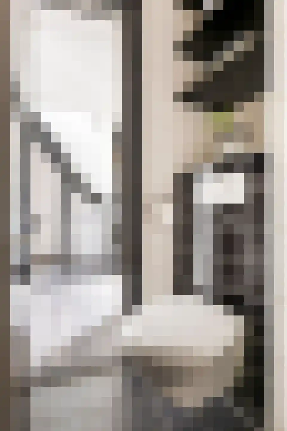 Mauritsdwarsstraat 3 Groningen thumbnail 18