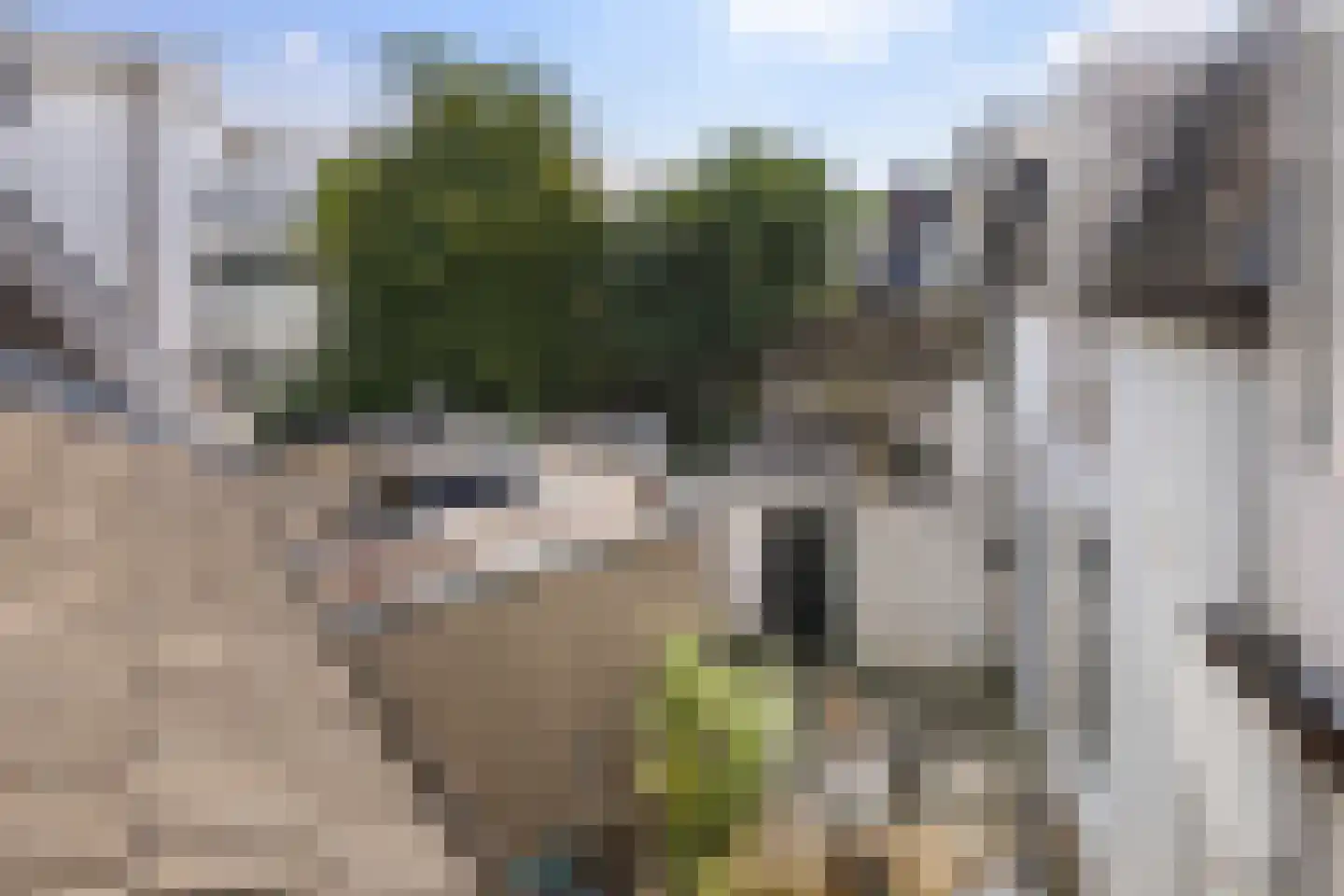 Mauritsdwarsstraat 3 Groningen thumbnail 28