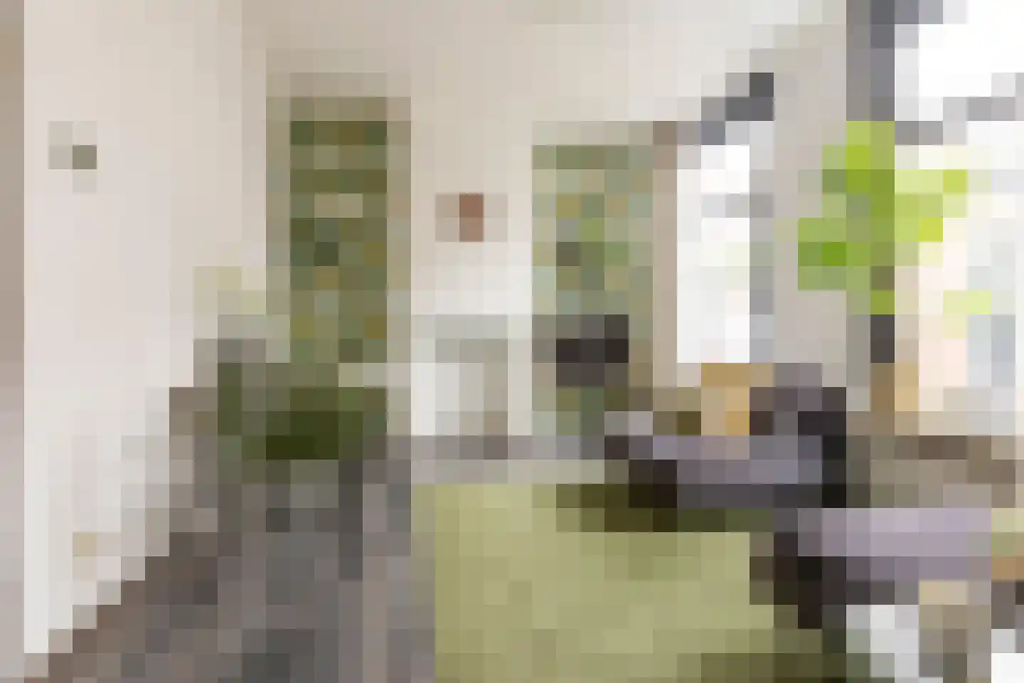 Mauritsdwarsstraat 3 Groningen thumbnail 7