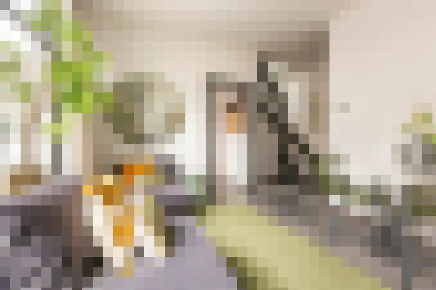 Mauritsdwarsstraat 3 Groningen thumbnail 9