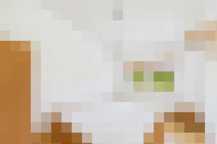 Mauritsfort 23 Hoek thumbnail 21