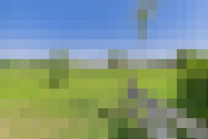 Mauritsfort 23 Hoek thumbnail 35