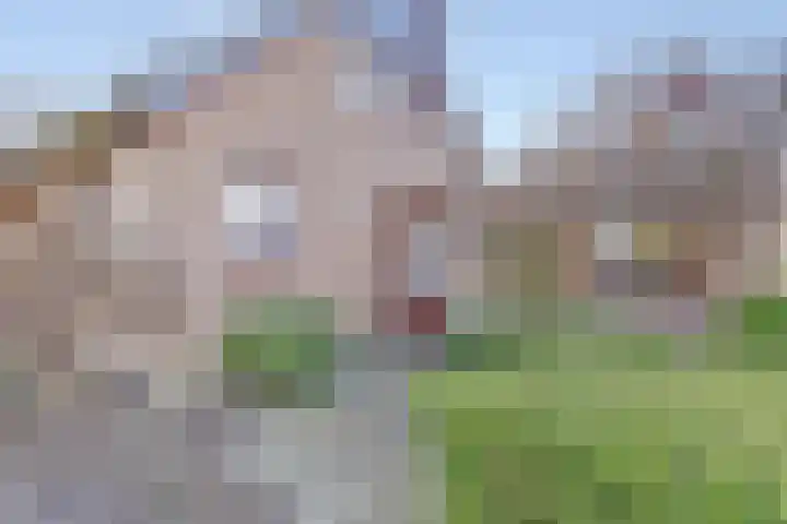 Mauritshoek 40 Ridderkerk thumbnail 9