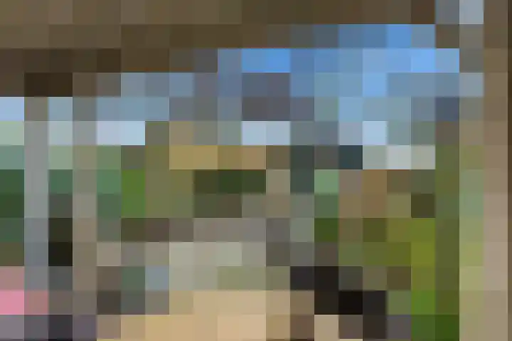 Mauritshoek 55 Ridderkerk thumbnail 31