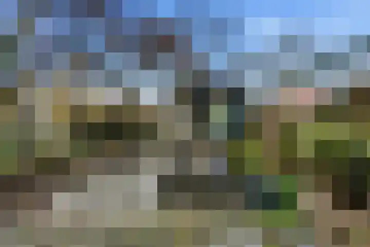 Mauritshoek 55 Ridderkerk thumbnail 32