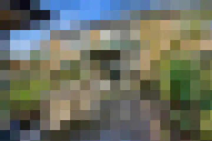 Mauritshoek 55 Ridderkerk thumbnail 33