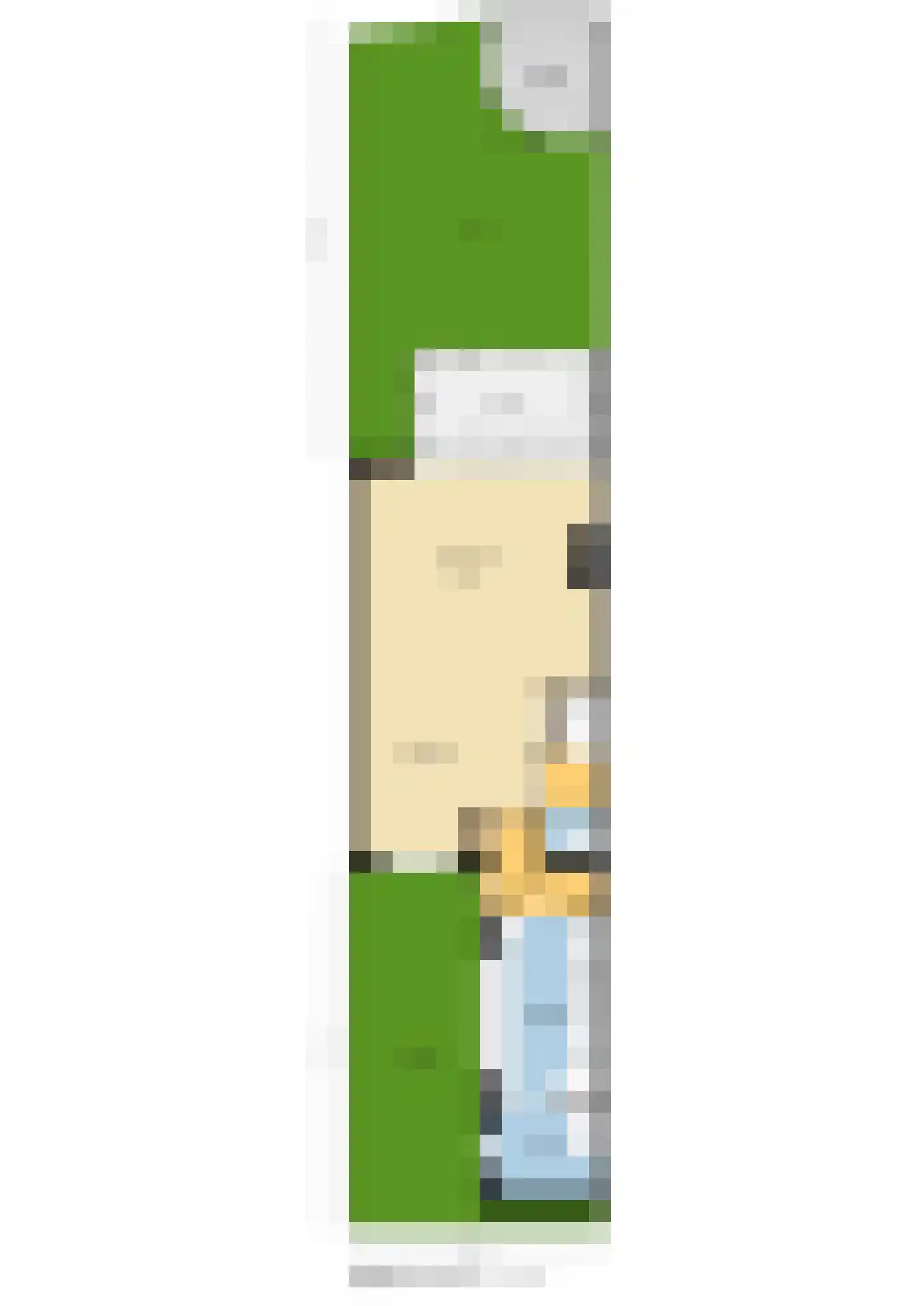 Mauritshoek 55 Ridderkerk thumbnail 38