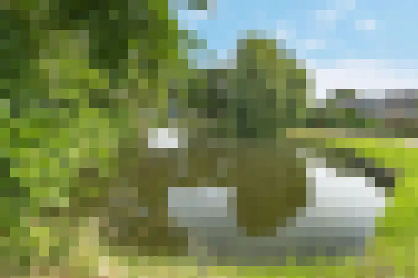 Mauritshoek 56 Ridderkerk thumbnail 39