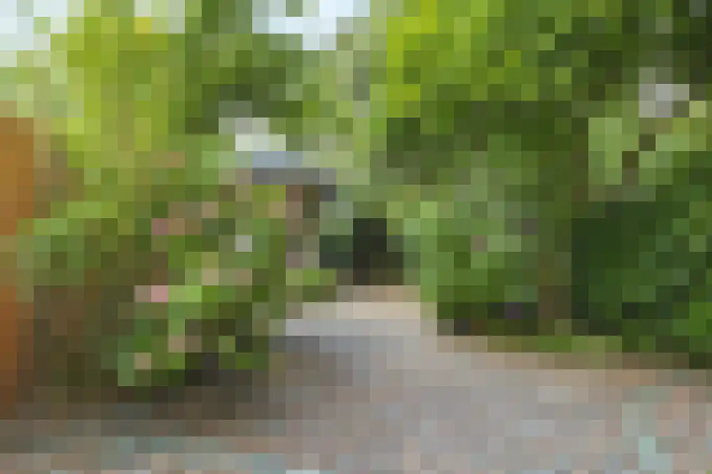 Mauritshoek 56 Ridderkerk thumbnail 4